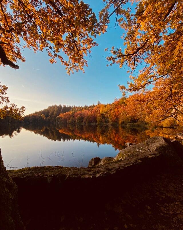 Foto Nr. 4
